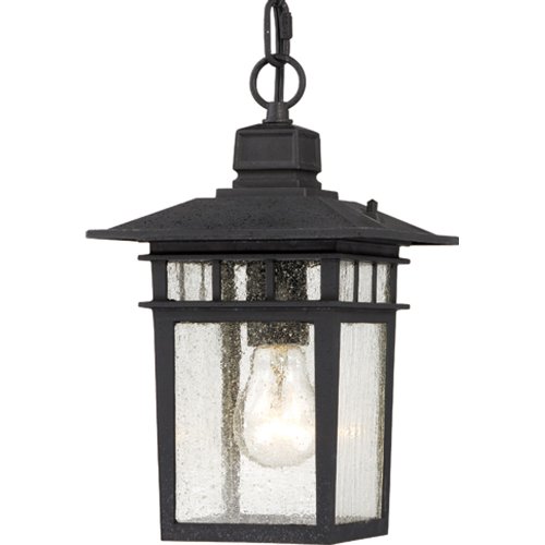 Nuvo Lighting 604956 Cove Neck One Light Hanging Lantern 100 Watt A19 Max Clear Seeded Glass Textured Black Outdoor Fixture