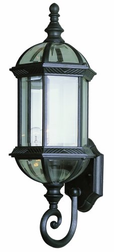 Trans Globe Lighting 4180 BK 22-14-Inch 1-Light Outdoor Wall Lantern Black