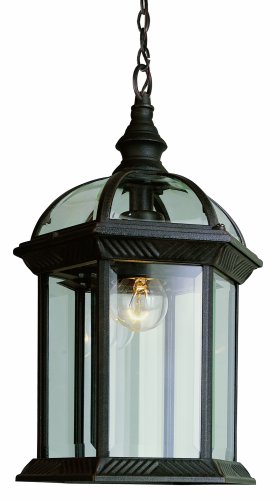 Trans Globe Lighting 4183 RT 1-Light Outdoor Hanging Lantern Rust 14-Inch Height