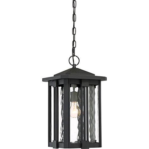 Quoizel EVG1911EK Everglade Outdoor Pendant Lighting 1-Light 150 Watts Earth Black 19 H x 11 W