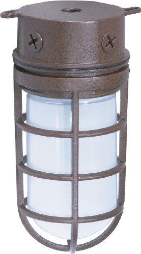 Nuvo Lighting Sf76625 Industrial Style Small Heavy Duty Aluminum Durable Outdoor Close To Ceiling Porch And Patio