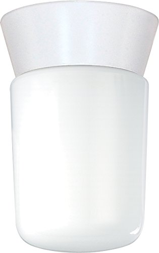 Nuvo Lighting Sf77533 Utility Fixture Die Cast Aluminum Durable Outdoor Close To Ceiling Porch And Patio Light