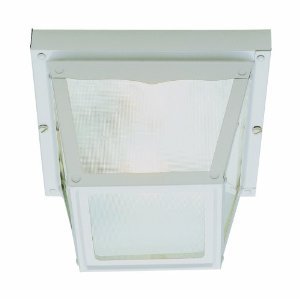 Trans Globe Smith 7 Outdoor Ceiling Light In White
