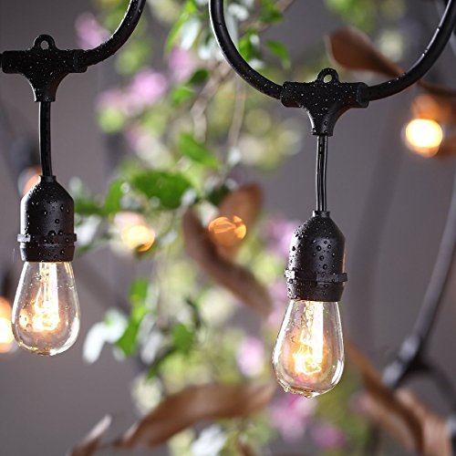 ProGreen Outdoor Commercial String Lights 30 Feets Long with 9 Hanging Dropped E27 Sockets UL Listed Heavy Duty Weatherproof Black Wire Light Strings for Indoor and Outdoor Bulb not Include