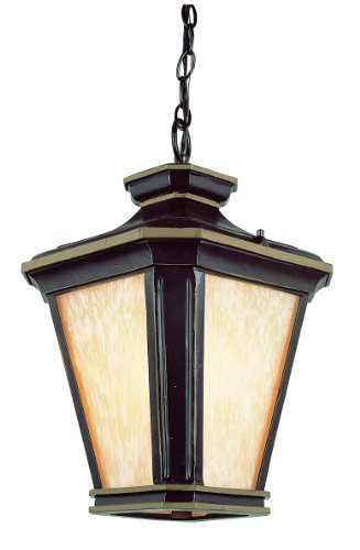 Trans Globe Lighting 5845 BGO Outdoor Hanging Light Brown and Gold
