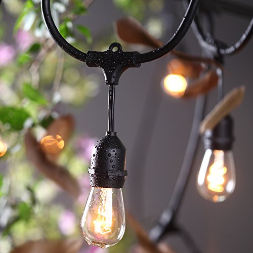 Amlight Outdoor Commercial Heavy Duty Weatherproof String Globe Lights 48 Feet Long With 24 Hanging Dropped Sockets