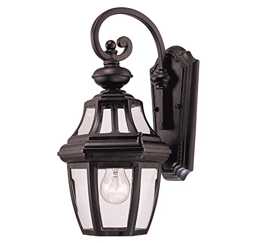 Savoy House Lighting 5-491-BK Endorado Collection 1-Light Outdoor Wall Mount 16-Inch Lantern Black Finish with Clear Glass