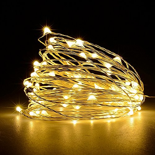 WisHome Waterproof Decorative 100 LEDs 33ft USB Powered Copper Wire Starry Fairy String Lights Led Rope Lights for Bedroom Patio Garden Christmas Outdoor Party Wedding Lamping Warm White