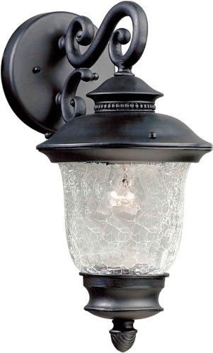 Forte Lighting 1726-01-04  Exterior Wall Light with Clear Crackle Glass Shades Black