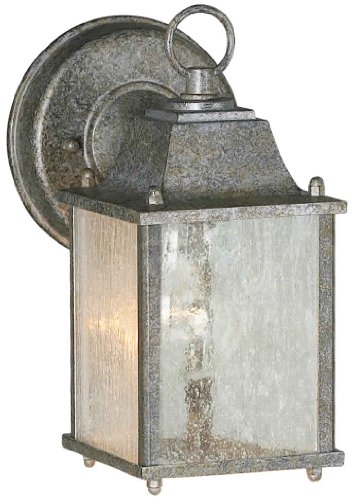 Forte Lighting 1755-01-59  Exterior Wall Light with Clear Seeded Glass  Shades River Rock