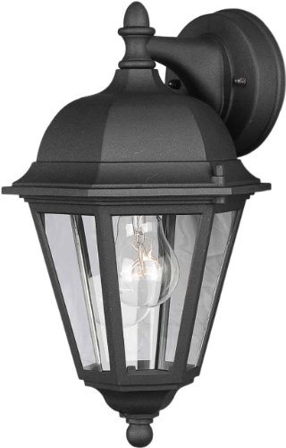 Forte Lighting 1761-01-04  Exterior Wall Light with Clear Glass  Shades Black