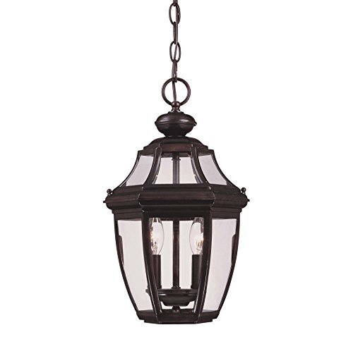 Savoy House Lighting 5-494-13 Endorado Collection 2-Light Outdoor Hanging Entry Lantern English Bronze Finish with Clear Glass