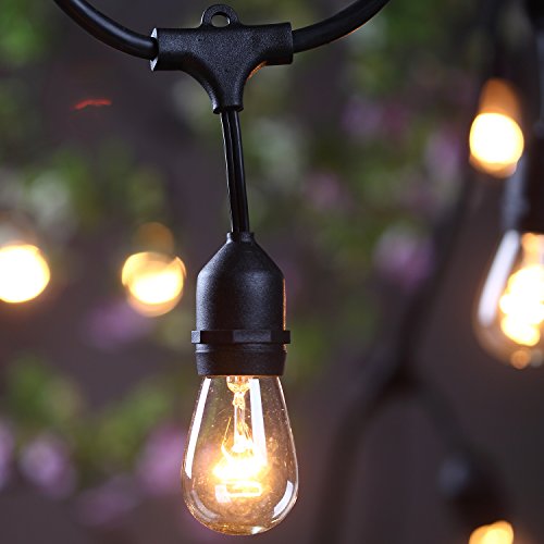 Amlight Outdoor Commercial String Lights 24 Feet Long With 12 Hanging Dropped Sockets- 12 S14 Incandescent Bulbs