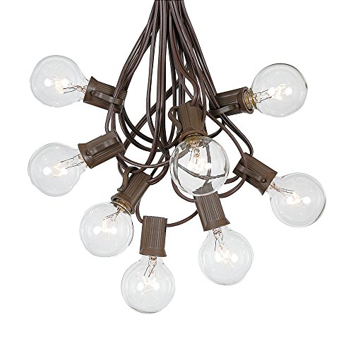 G40 Globe Outdoor String Lights With 25 Clear Globe Bulbs By Novelty Lights - Commercial Grade - Outdoor Lights