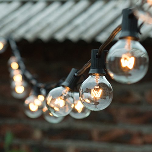 Iarr? G40 Clear Globe String Lights Set Of 25 G40 Bulbs Indoor / Outdoor Ul Listed(blake)