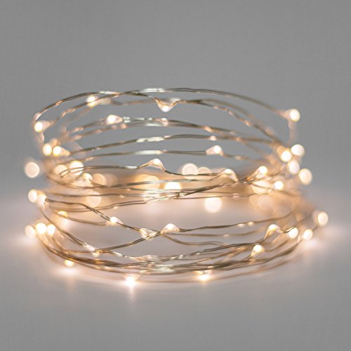 Starry Lights Mini Sets 20 Warm White Micro LEDs on 65 Foot Silver Wire Battery Powered With OnOff Switch