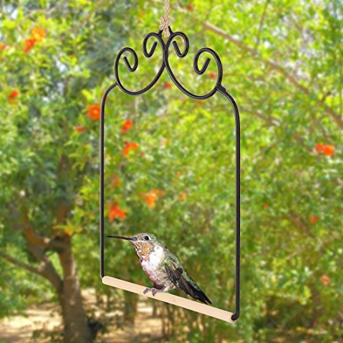 Home-x Hummingbird Swing Metal Frame Hummingbird Swing With Wooden Dowel