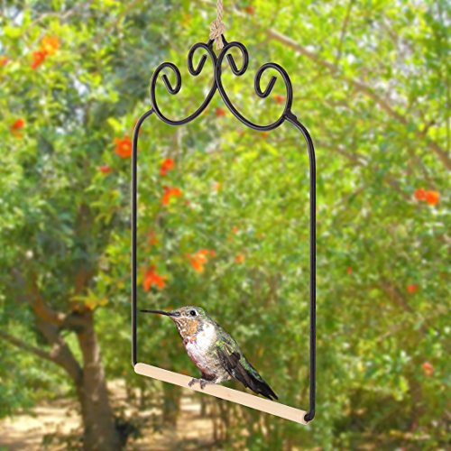 Home-x Hummingbird Swing Metal Frame Hummingbird Swing With Wooden Dowel