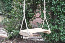 Cruzes Contoured Cypress Tree Swing