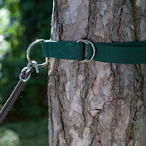 Tree Hugger Set Of 2 Hammock Straps