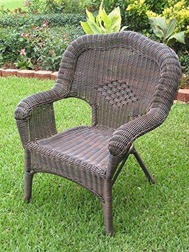 Wicker Resinsteel Outdoor Patio Chair - Set Of 2 antique Pecan