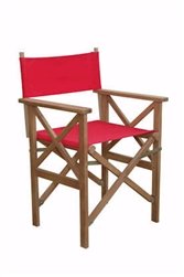 Anderson Teak Patio Lawn Garden Furniture Director Folding Armchair w Canvas