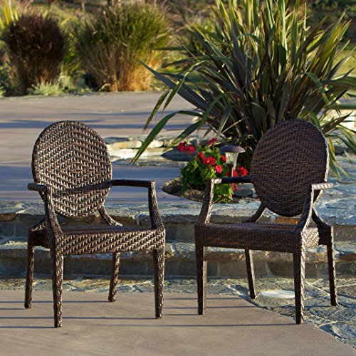 Christopher Knight Home Adriana PE Wicker Outdoor Chairs Set of 2