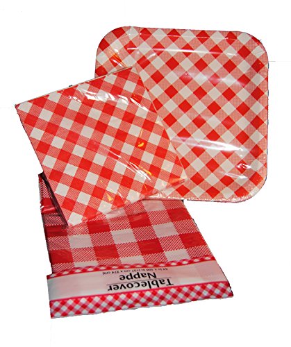 Red White Checkered Picnic Paper Plates Napkins and Tablecover