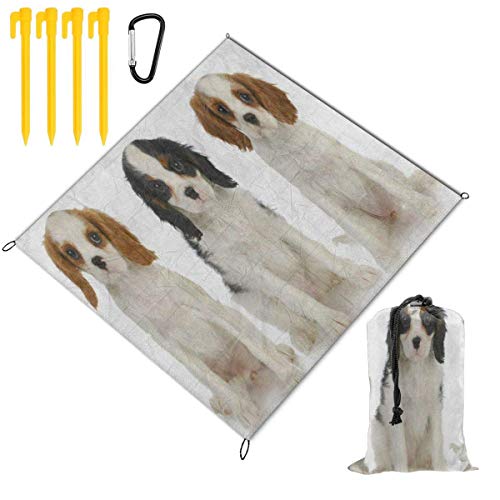 Lovely Pug Dog Puppy White Waterproof Family Picnic Mat Beach Blanket for Picnic Camping Beaches Grass Travel3 Sizes 67 x 57 Inch