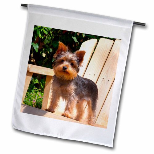 3dRose fl_206393_1 Yorkshire Terrier Standing on Wooden Chair Garden Flag 12 by 18