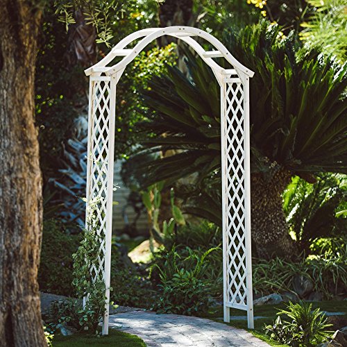 Patio 7-ftChina Fir Wood Arbor with Elegant Arch on Top in White Finish 4449W x 1575D x 8701H in