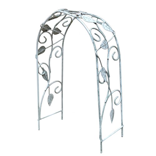 Rsr E-v Ivy Arbor White