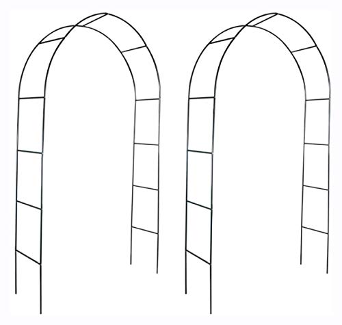 Garden Arch Trellise Arbor Pergola xidaXL Garden Arch 2 pcs Climbing Plants