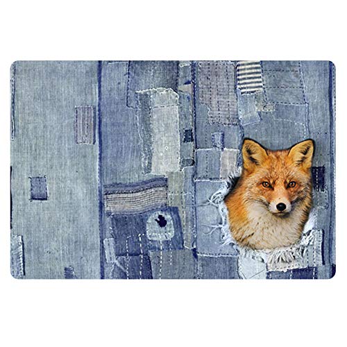 Coloranimal Funny Indoor Outdoor Doormat 3D Animal Fox in Rustic Printed Rectangle Area Rugs Kids Play Area Rugs Easy to Clean Front Door Mat