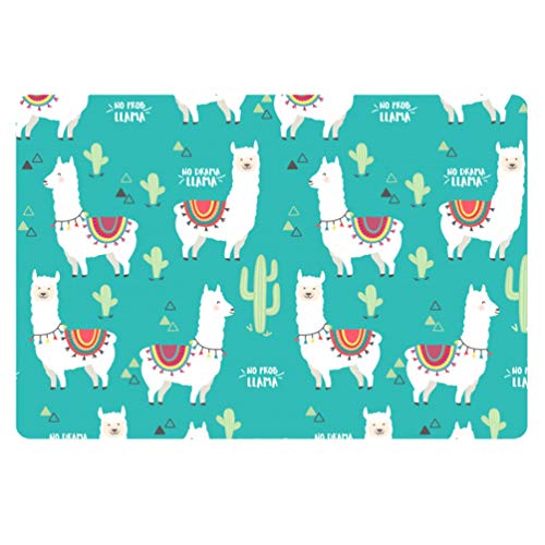 Coloranimal Indoor Outdoor Non Slip Door Mat Funny Cartoon Alpaca Cactus Design Rectangle Area Rugs for Patio Garage High Traffic Areas Entrance Shoes Scraper All Weather Exteriors