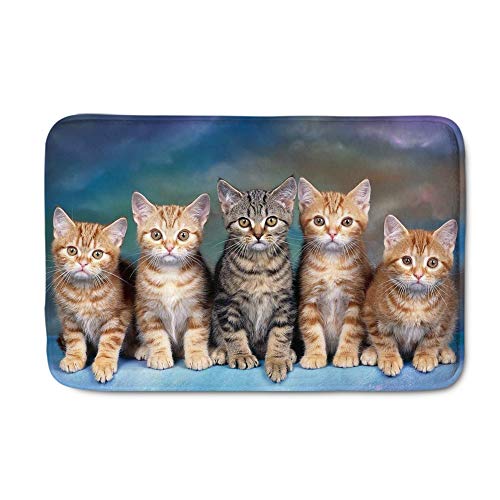 NDISTIN Adroable Cat Design Doormat Novelty Floor Mat for Indoor Entrance Way Carpet Rectangle Area Rugs Trapper Mat