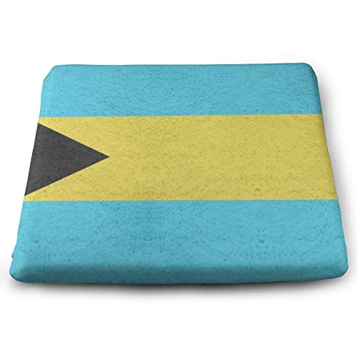 SZjinghao Chair Square Cushion，Seat Cushion for Home Office Dinning Chair Solid Color Indoor OutdoorChair Pads Bahamas Flag Sea Blue