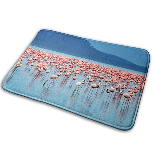 FTRGRAFE Flamingos at Sea Home Door Mat Super Absorbent Non Slip Front Floor MatSoft Coral Memory Foam Carpet Bathroom Rubber Entrance Rugs for Indoor Outdoor