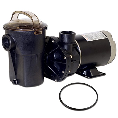 Hayward Sp1580x15 Power-flo Lx Series 1-12-horsepower Above-ground Pool Pump With Cord And Replacement Lid O-ring