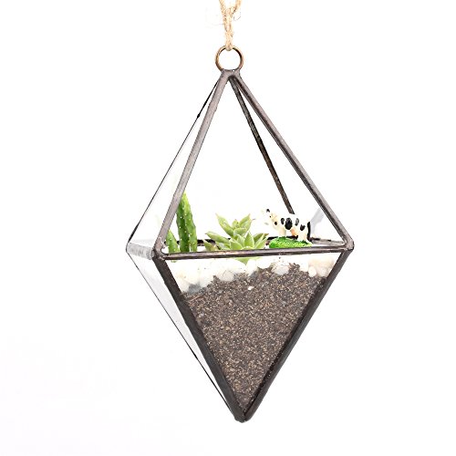 Hanging Mini Clear Glass Octahedron Shape Diamond Geometric Air Plant Terrarium Pot Planter Side Length 3x35inches 59 inches with loop