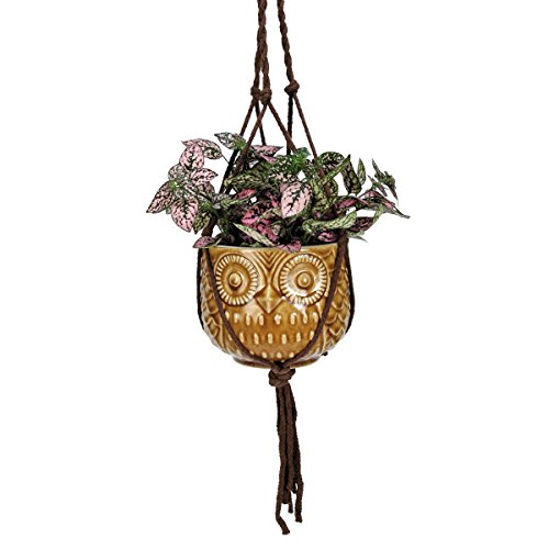 Natures Garden Hanging Owl Pot Golden Tan