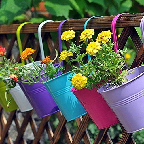 L 6 PCS Garden Decoration Supplies Iron Pastoral Balcony Pots Planters Wall Hanging Metal Bucket Flower Holders 6 Colors