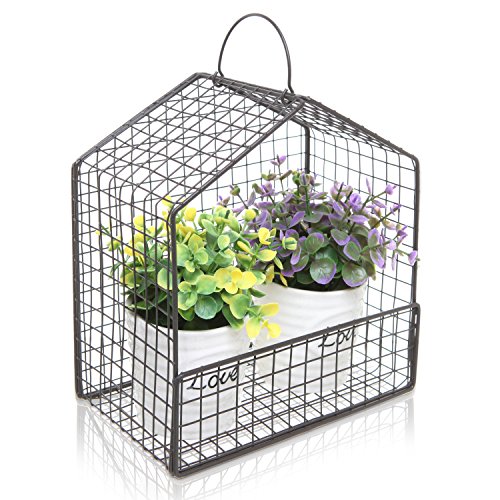 Black Metal Mesh Wire House Design Hanging or Freestanding Succulent Plant Holder  Display Shelf Basket