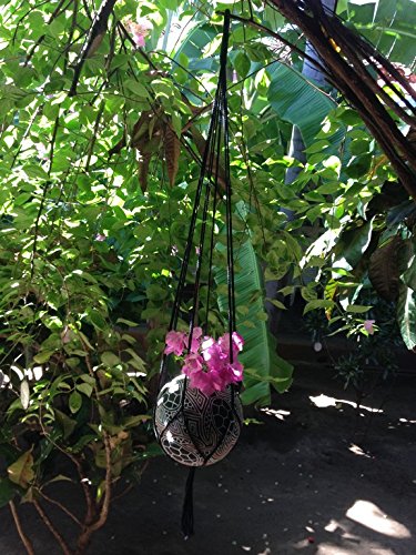 Macrame Plant Hangers Hanging Planter Plant Hangers Hanging Plant Holders Hanging Plants Macrame Plant Holder Hanging Basket Plants Hanging Basket - Socially Positive Black