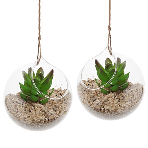 Set Of 2 Decorative Clear Glass Globe  Hanging Air Plant Terrarium Planter  Candle Holder - Mygift&reg