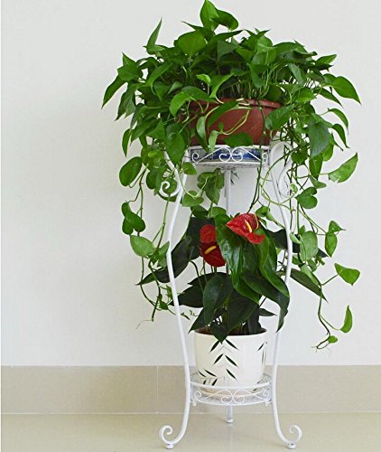 Kaim Demountable Metal 2 Tiers Plant Stand Floor Model Flower Pot Shelf Plant Rack white