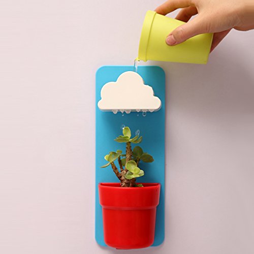 Szat New Creative Indoor Wall-hanging Cloudamp Flower Mount Rainy Potblue