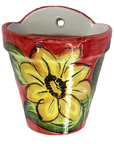 Wall Hanging Flower Pot - Spanish Sunflower