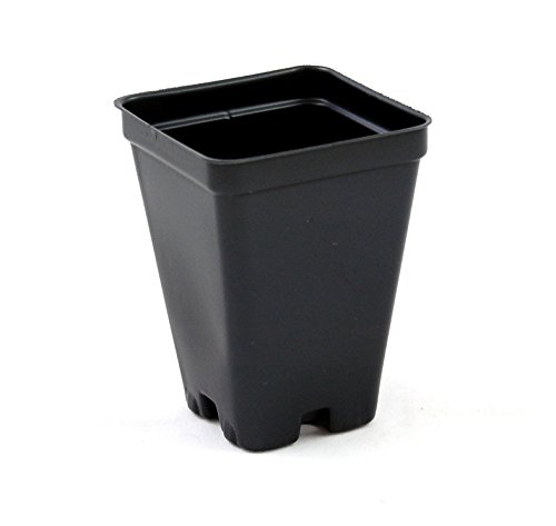 25 inch Square Greenhouse Pots - Black - Plastic - Deep - Case of 800 by Growers Solution