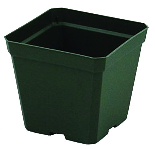 Greenhouse Pots - 4 inch Square - 3 12 inch Deep Pots - Green - Plastic - Case of 846 by Growers Solution